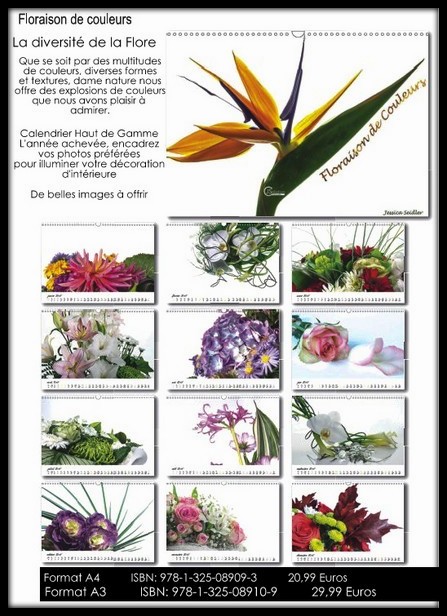 Calendrier Floraison de couleurs Fleurs Bouquet Evreux en vente sur Amazon