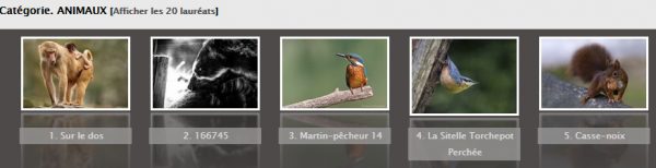 Concours Photoviews
