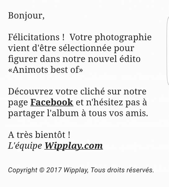 Concours Wipplay