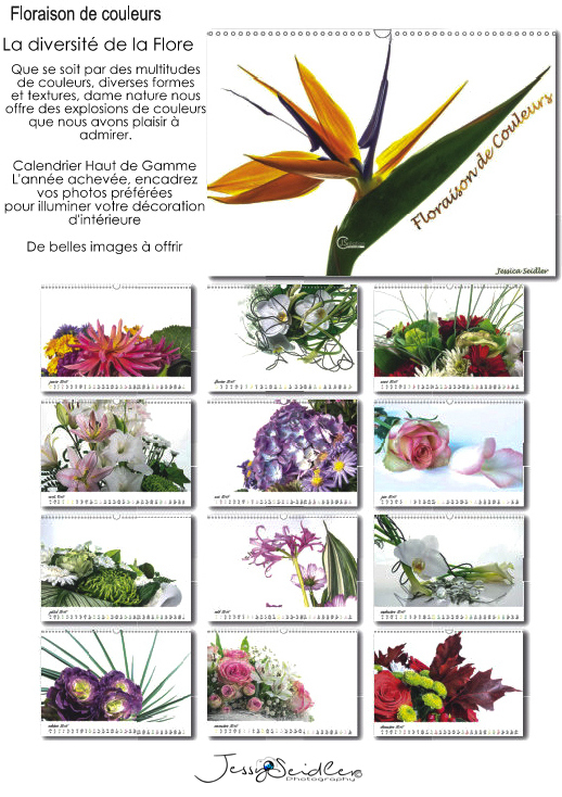 Calendrier FR Floraison de couleurs 20,99€-29,99€