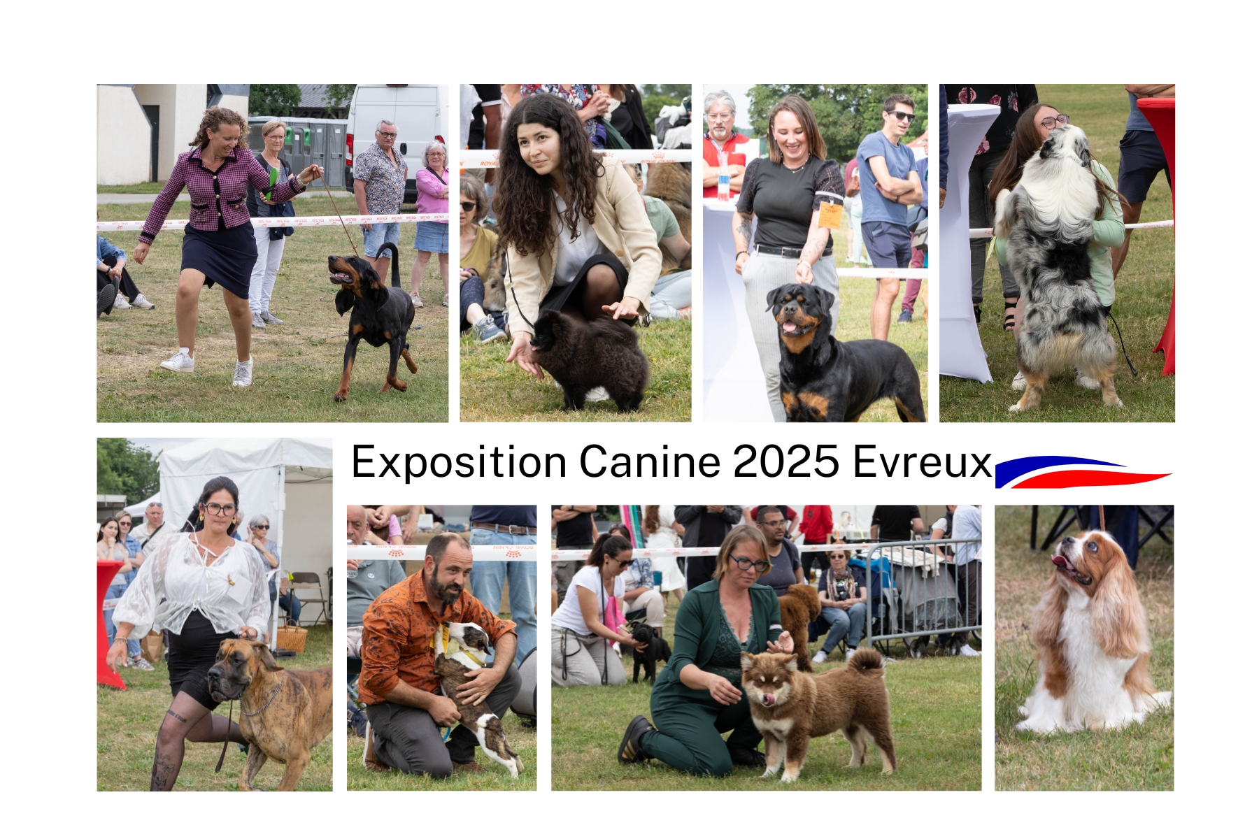 Couverture Exposition Canine 2025 Couverture Exposition Canine 2025