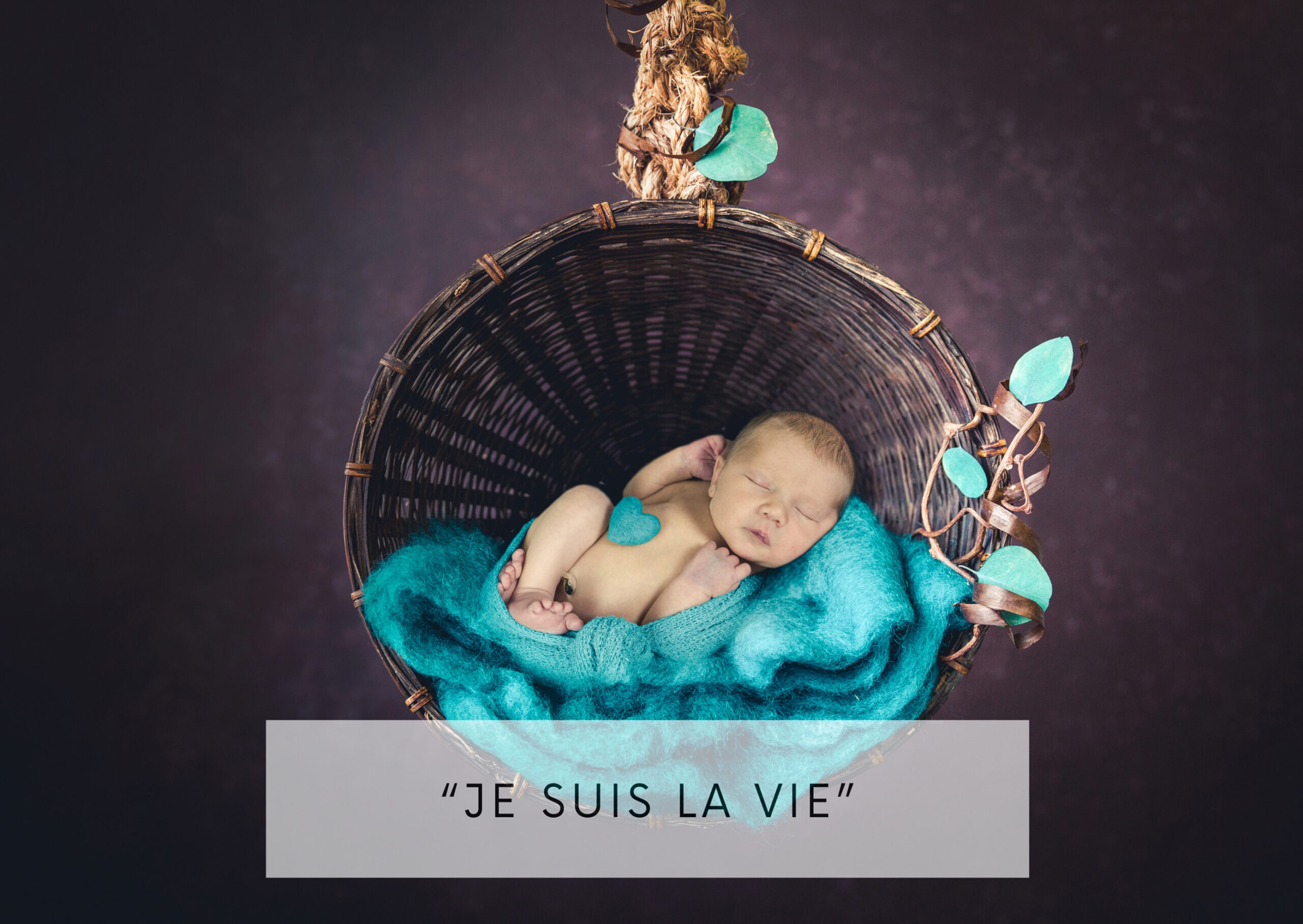 Design sans titre - 1